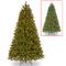 9ft. Pre-Lit Downswept Douglas® Fir Tree, Dual Color LED Lights